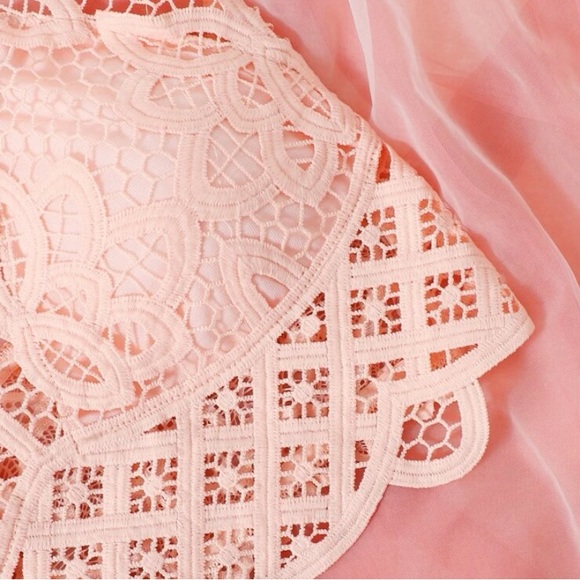 Guipure Pink Lace Bra - Picture 4 of 9